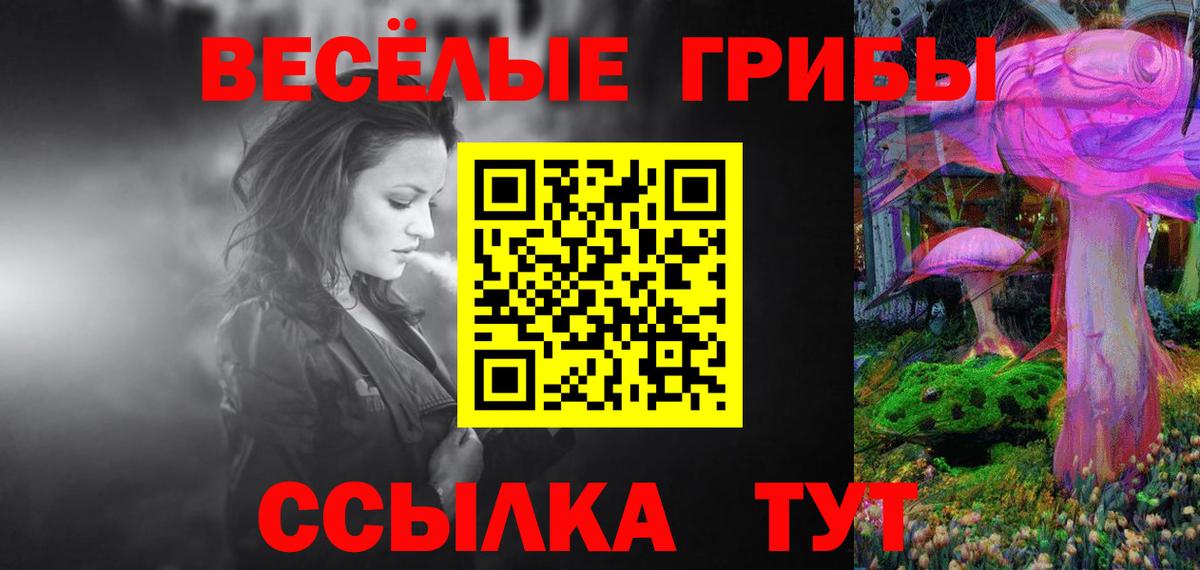 Галлюциногенные грибы Psilocybine cubensis Ессентуки